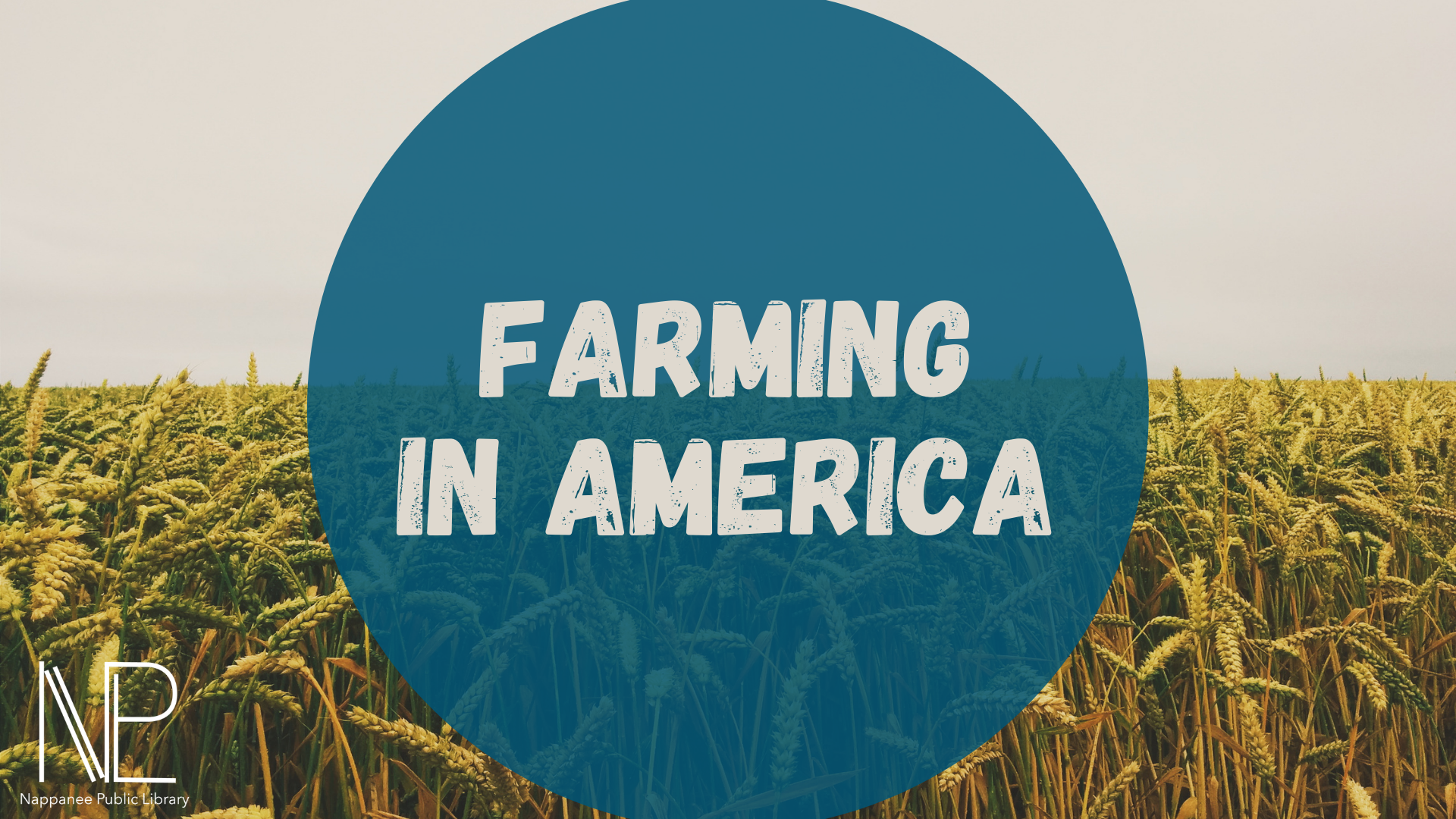 farming in america
