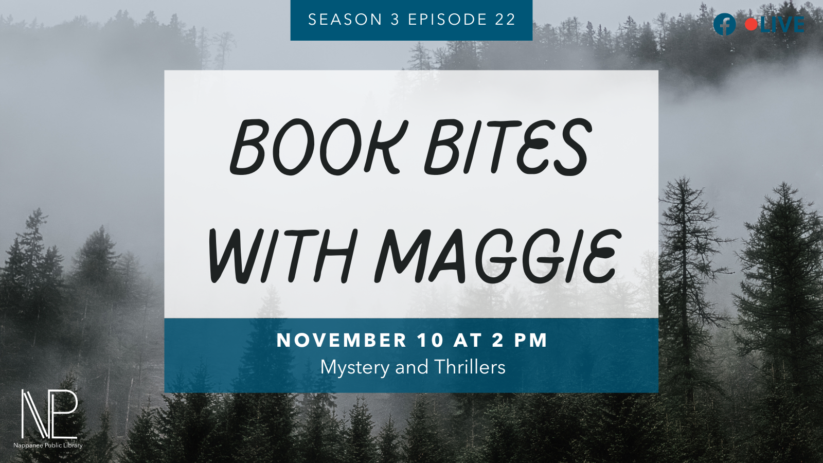 Book Bites: Mysteries & Thrillers