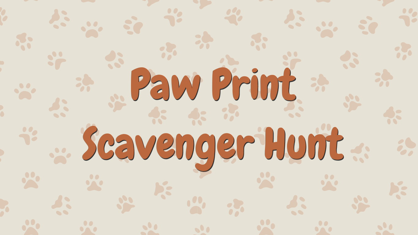 Paw Print Scavenger Hunt