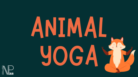 animal yoga