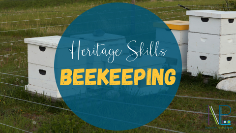 beekeeping