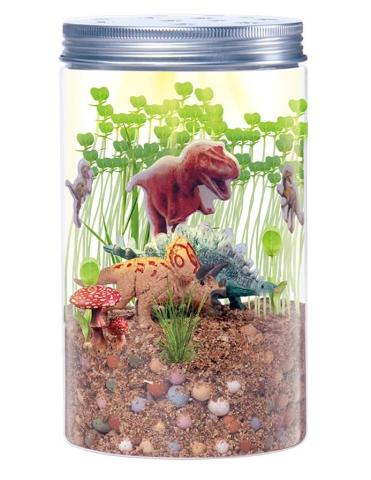 Dinosaur Terrarium