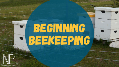 beekeeping