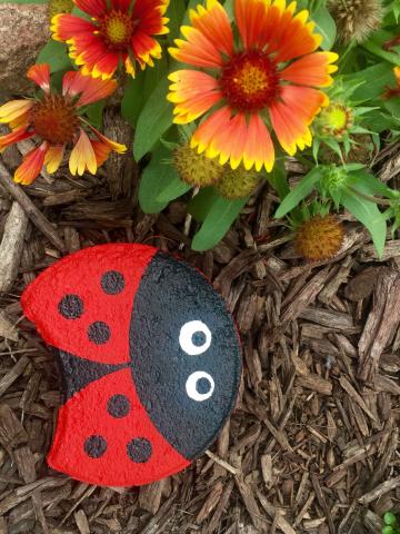 Lady Bug Paver