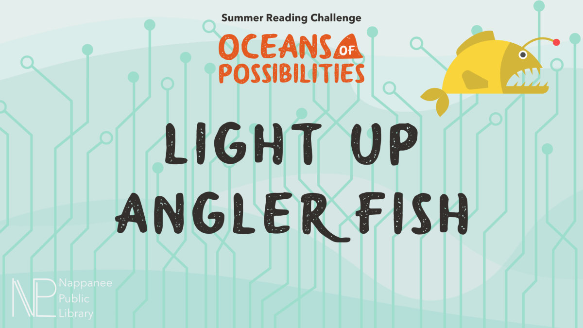 Light Up Angler Fish