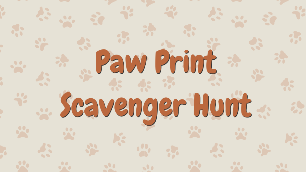 Paw Print Scavenger Hunt