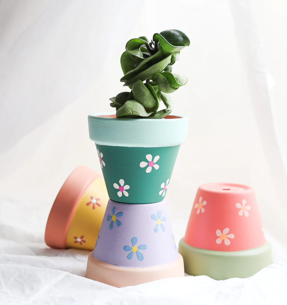 Flower Pots