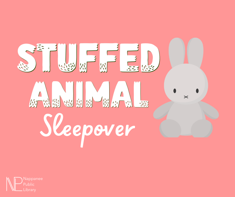 Stuffed Animal Sleepover